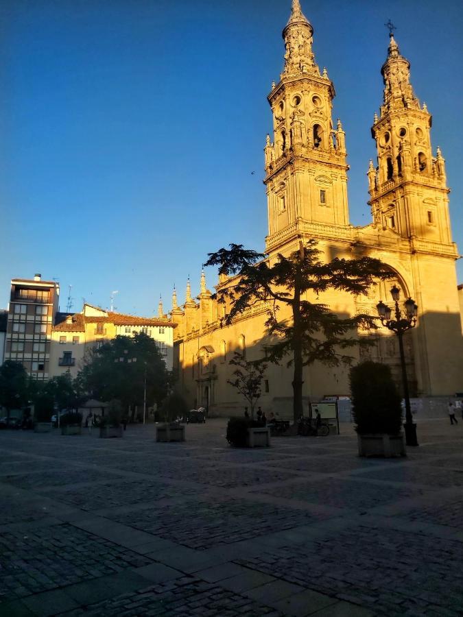 "El Rincon Del Pintor"Enorme Piso A Junto A Laurel Ascensor By Apartamentos Logroño Eksteriør bilde