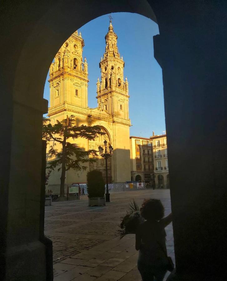"El Rincon Del Pintor"Enorme Piso A Junto A Laurel Ascensor By Apartamentos Logroño Eksteriør bilde
